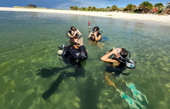巴拿馬城適合初學者的水肺潛水活動