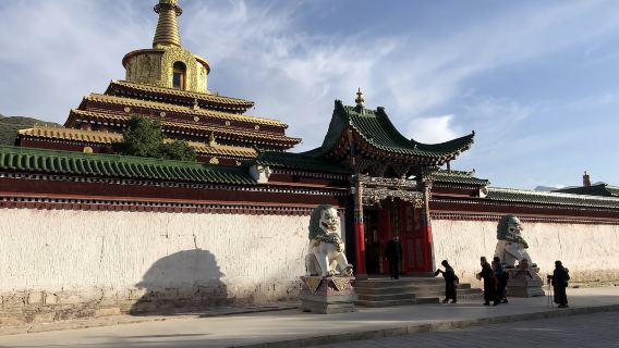 包車甘南拉卜楞寺+夏河桑科草原設施+達爾宗湖1日