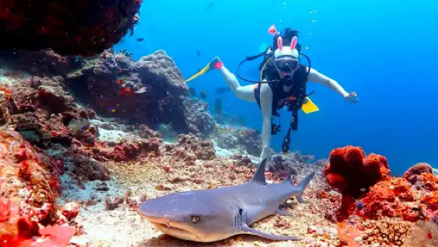 仙本那敦沙卡蘭海洋公園+軍艦島+珍珠島+曼達布安島一日遊