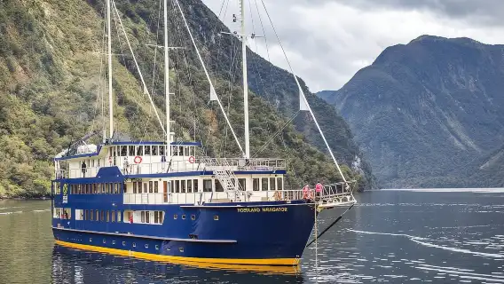 New Zealand Queenstown Doubtful Sound Half Day Tour [Natural Ecological Cruise 21863]