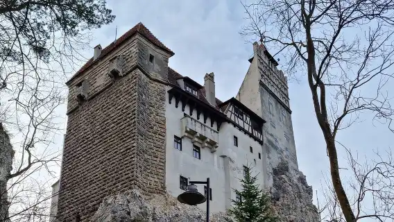 Dracula's Castle, Peles Castle and Brasov - Private Day Trip from Bucharest
