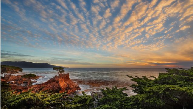 Monterey Bay Kayak Rental Two Hours: Otters, Seals and Sea Lions