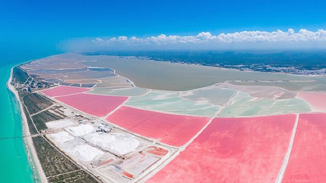 ทัวร์ Las Coloradas, Río Lagartos และ Playa Cancunito จากเมรีดา