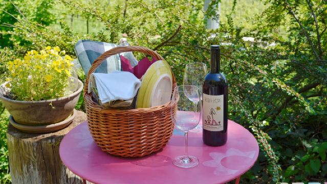 เวโรนา ฮิลส์: ทัวร์ปั่นจักรยานไฟฟ้าพร้อมปิกนิกที่ไร่องุ่นขนาดเล็ก