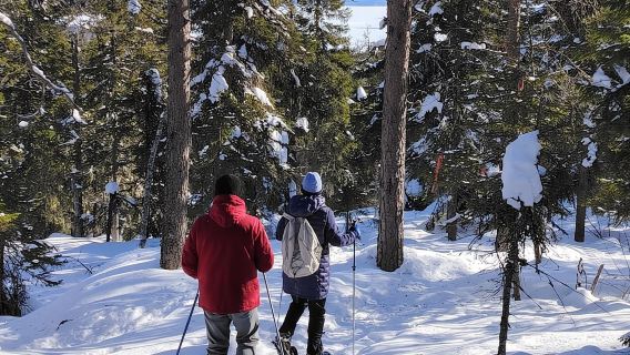 Vuokatti: aventura con raquetas de nieve en el bosque