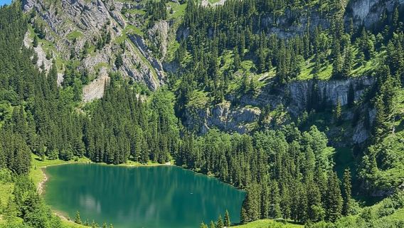 Interlaken: passeggiata panoramica e raclette sul lago di montagna