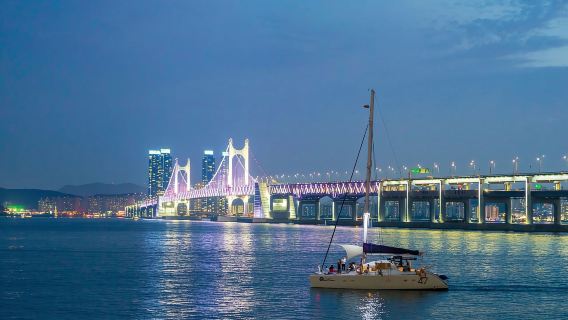 Busan: Your Private Custom Tour – Half/Full