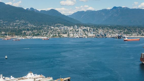 Vancouver: Entry Ticket for the Vancouver Lookout