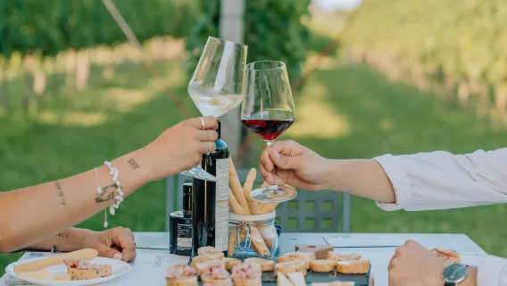 Gardasee: Wein- und Essensverkostungen in den Weinbergen