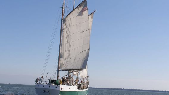 Charleston: Schooner Sailing Experience & Dolphin Watch
