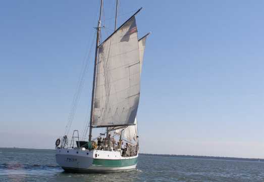 Charleston: Schooner Sailing Experience & Dolphin Watch