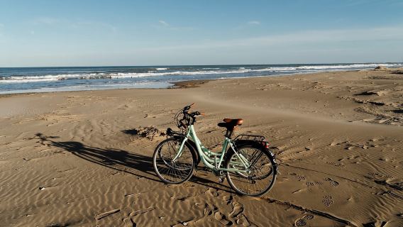 Camarles: Bike Rental