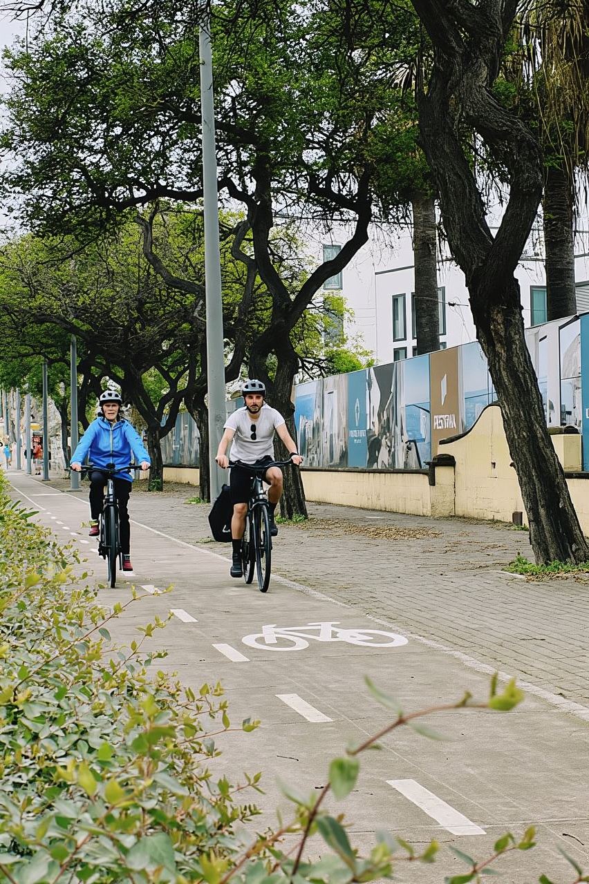 Tour su strada in bici elettrica senza guida: da Funchal a Câmara de Lobos