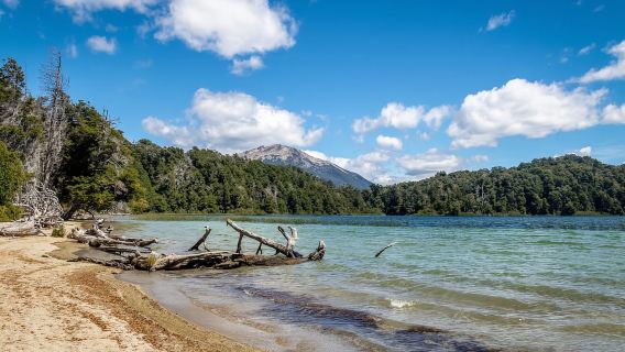 Da Bariloche: tour dell'isola Victoria e della foresta di Arrayanes