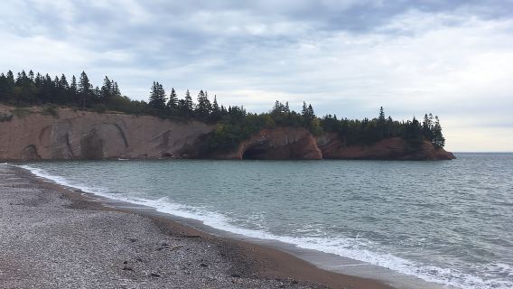 Dari Saint John: Perjalanan Bus Teluk Fundy untuk Penumpang Kapal Pesiar