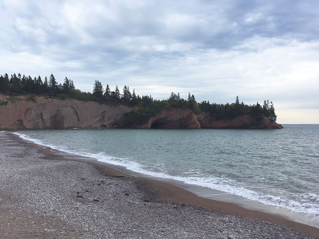 From Saint John: Bay of Fundy Bus Trip for Cruise Passengers