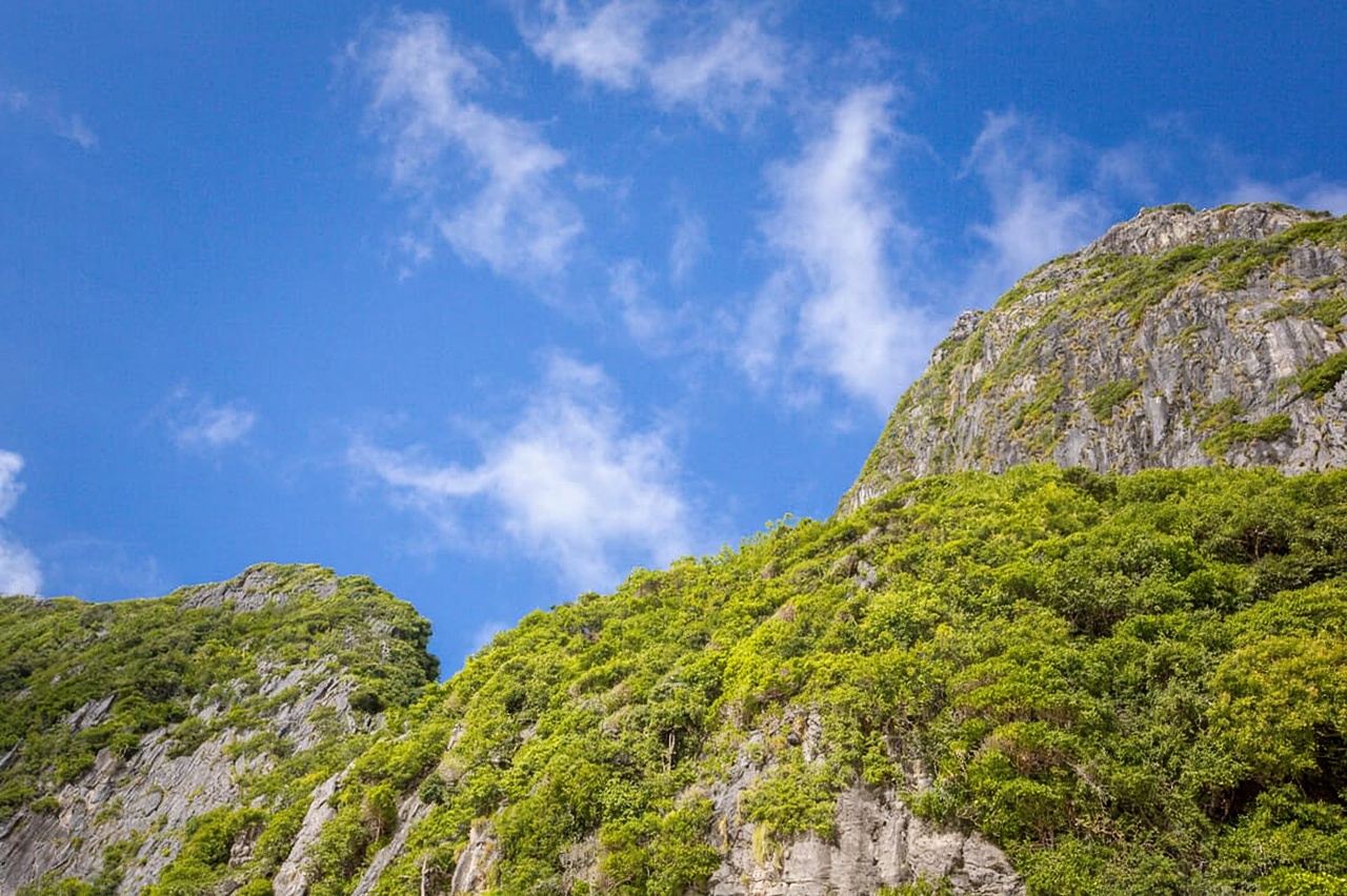 Phi Phi Half Day or Full Day by Longtail to Maya and Bamboo