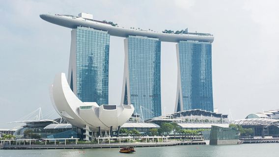 シンガポール電子入国カードSGAC記入登録サービス・入国申告サービス