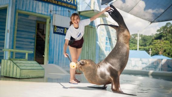 オーシャン・アドベンチャー, スービック・ベイ アドベンチャーキングダム ワンデーツアー【マニラ往復】