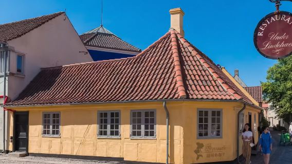Classic cultural private charter 1-day tour from Copenhagen to Odense round-trip|Unlock the world of fairy tale masters