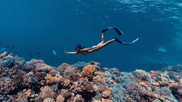 Colored Canyon & Blue Hole & Dahab Tour (Departing from Sharm El Sheikh) - Package Options Available