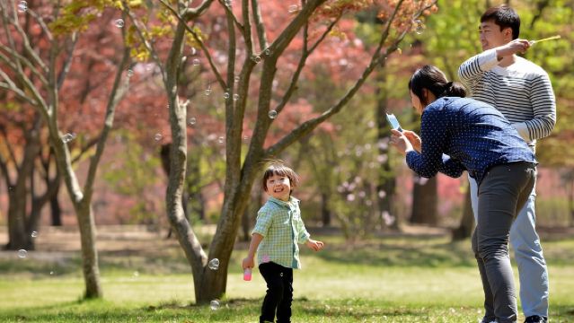 Escursione di un giorno a Nami Island, Petite France e Italian Village da Seul