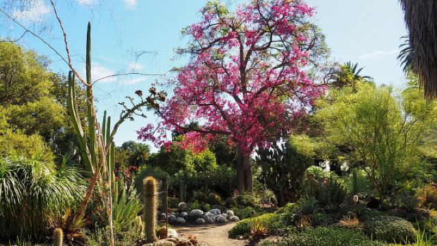 Ruth Bancroft Garden General Admission Ticket