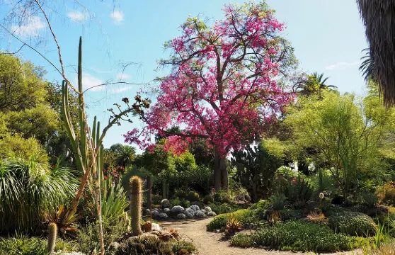 露絲班克羅夫特花園一般門票