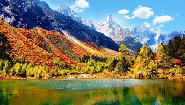 Sichuan Bipenggou Scenic Area Private Day Tour from Chengdu