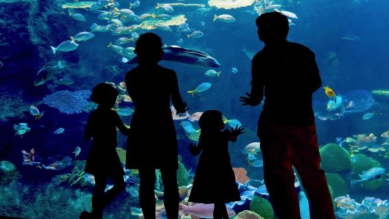 Veracruz & Mandinga Lake Highlights Tour