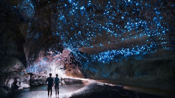 懷托摩洞穴日遊