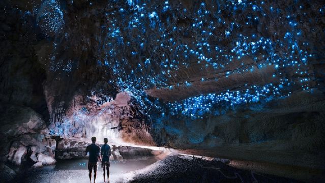1-day tour to Waitomo Glowworm Caves and Hamilton Gardens from Auckland, New Zealand