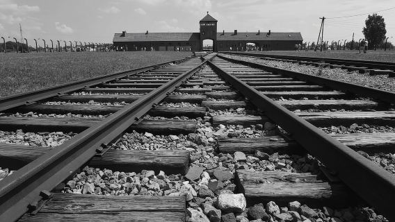 ทัวร์นำชม Auschwitz-Birkenau จาก Krakow/ไม่ต้องต่อคิว/รับที่จุดนัดพบ