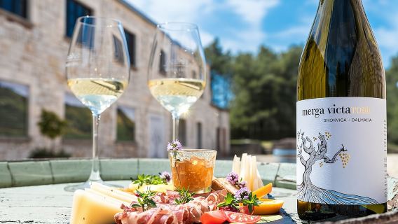 Private Korcula wine tour and tasting