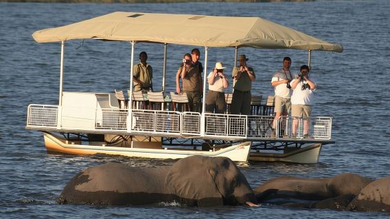 Experiencia de día completo en Chobe