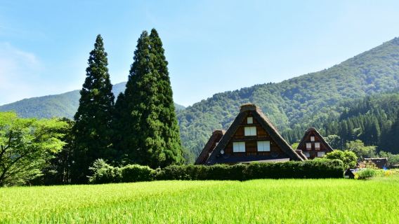 Toegangsticket voor het werelderfgoed Shirakawa-go Gassho-zukuri Minzoku Park (inclusief bus voor heen- en terugreis)