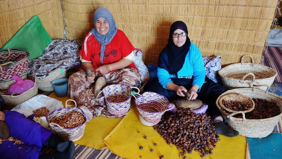 Argan Forest, tea time at a Berbers family & Visit of an Argan cooperative.