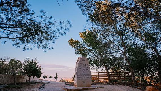 Tour of Madaba, Mount Nebo and the Dead Sea from Amman