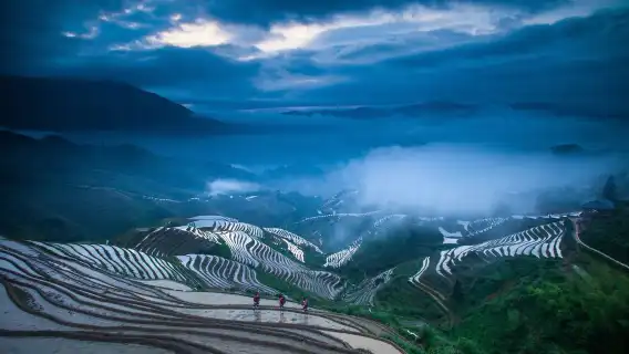 【8人團/私人導覽】桂林龍脊梯田-金坑梯田+黃洛瑤寨一日遊