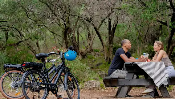 Nice Electric Bike Rental