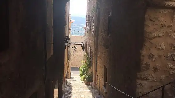 Half-Day Wine Tasting and Saint Paul de Vence Tour from Nice