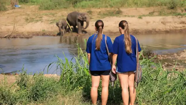 3-in-1: Doi Inthanon Tour, Elephant Sanctuary, and Trekking Trail