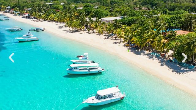 West Bay Beach Break / Affen- und Faultier-Schutzgebiet