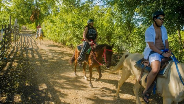 Cavalcata a Punta Cana: Giungla, Spiaggia di Macao e Trasferimento Gratuito