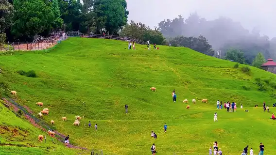 台灣日月潭+清淨農場一日【老英格蘭莊園+伊達邵部落|包車&】