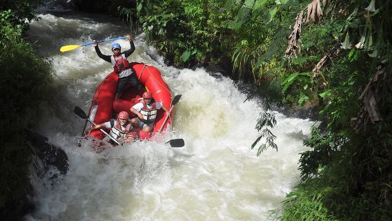 Rishikesh: 12 km Rafting Trip with Rapids and Scenic Views