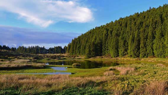 Isola di Terceira: escursionismo Mistérios Negros