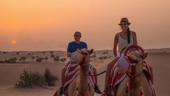 Dubai: Sunset Camel Trek, Al Khayma Camp, Stargazing & BBQ