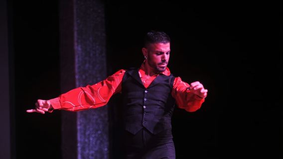 Tenerife: Actuación de flamenco en el Teatro Coliseo