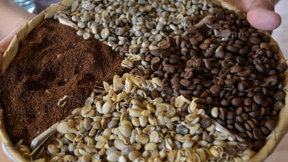 Tur Kopi ATV Antigua